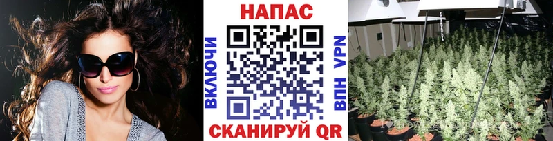 Как найти закладки Суджа Cocaine  Псилоцибиновые грибы  ГАШ  Меф мяу мяу 