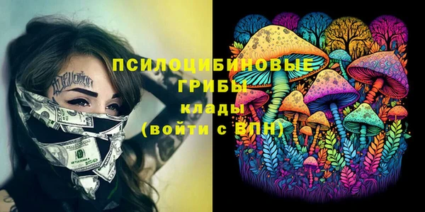 a pvp Володарск
