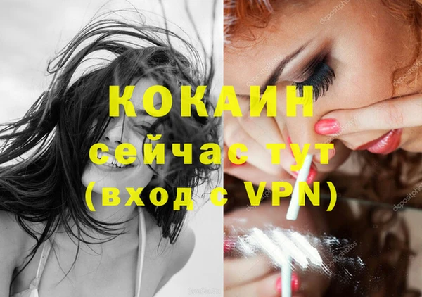 шишки Бронницы