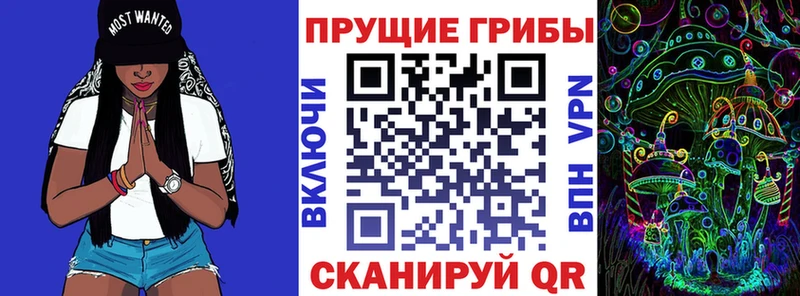 площадка наркотические препараты  дарнет шоп  Суджа  Галлюциногенные грибы Psilocybe 
