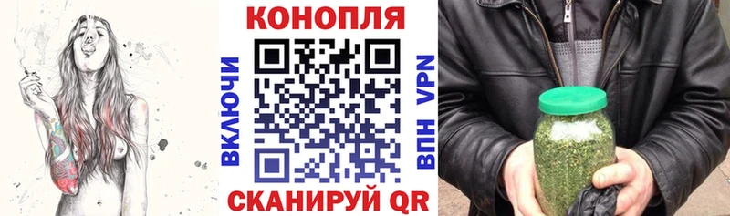 Конопля White Widow  где продают   Суджа 